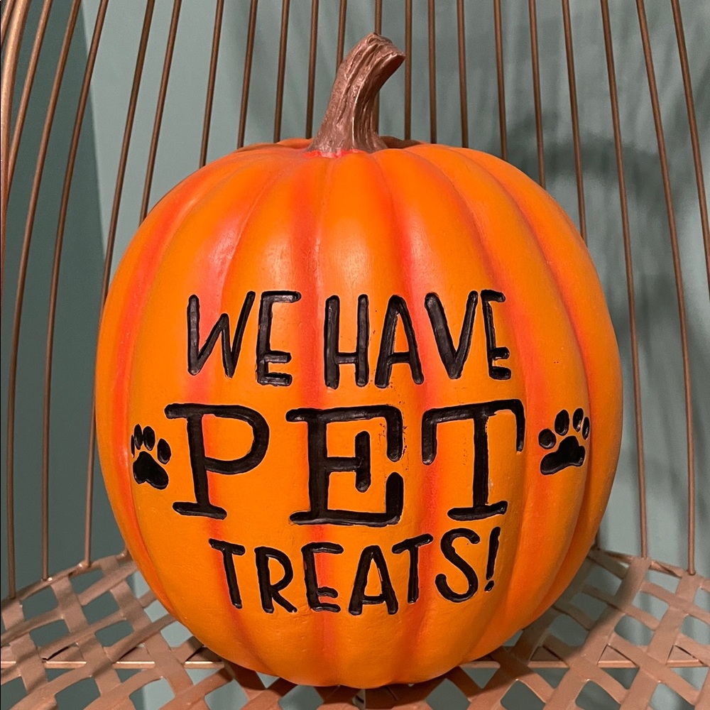 Pet Friendly Porch Pumpkin